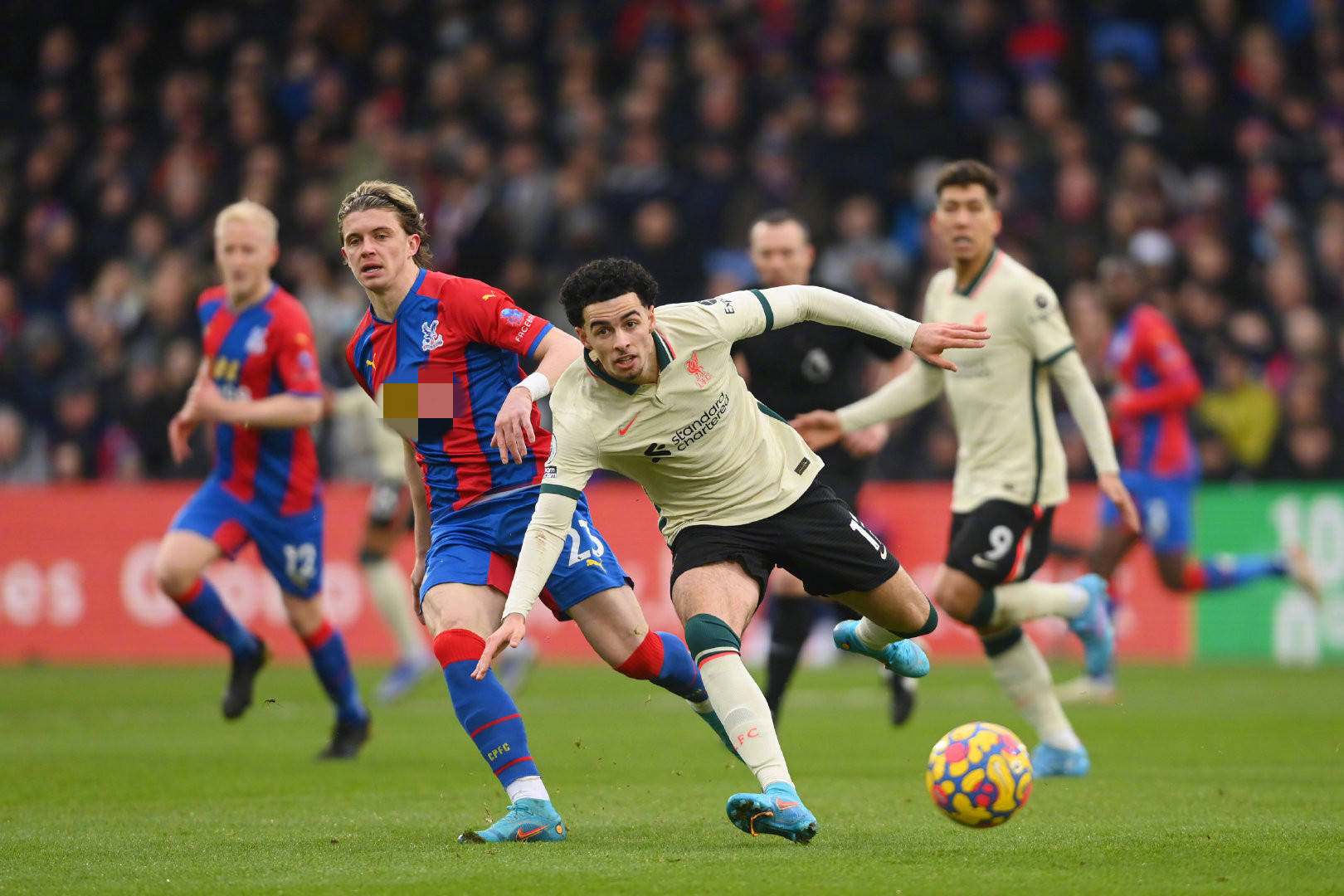 以支持本国 以支持本国